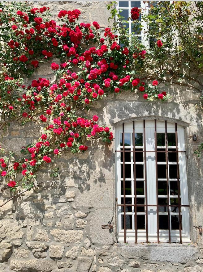 Chateau De La Borde A Ussel, Centre-Ville, Proche Autoroute A89 ユセル エクステリア 写真